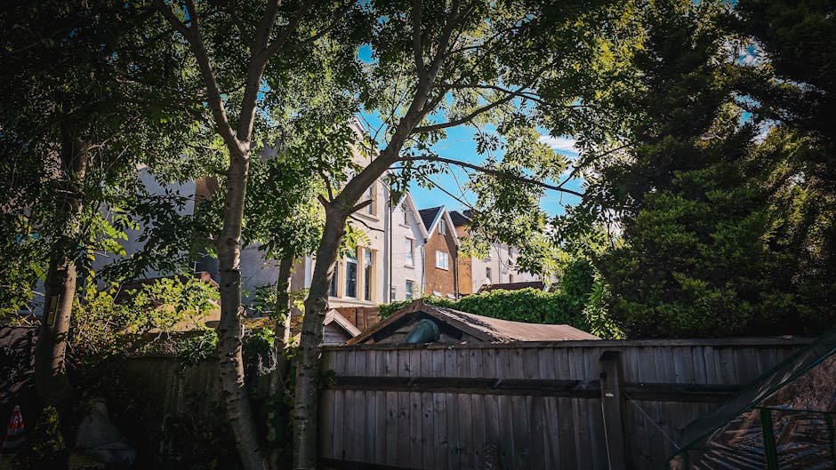 A residential garden scene featuring a wooden fence in the foreground, partially shaded by tall trees with light-colored bark and green leaves. Behind the fence are garden beds and patches of grass with a textured, slightly wet soil surface. The garden includes trimmed lawns, hedge borders, and various plants. In the background, multistory brick and painted houses with pitched roofs are visible under a bright blue sky. Sunlight filters through the tree canopy, casting dappled shadows on the garden, which appears to be maintained with some ongoing landscaping work, consistent with garden maintenance and outdoor care themes associated with Streatham Common. The scene suggests careful outdoor upkeep by Gardeners Streatham, focusing on lawn care, hedge trimming, and garden clearance preparations.