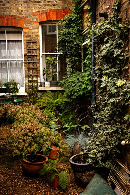 A small urban garden situated against a brick and wooden wall, featuring a variety of potted plants with lush green foliage, including ferns and ivy, along with a mossy, gravel-covered ground. The garden is bordered by a brick wall with an arched window framed by brickwork, and a vertical wooden trellis supports climbing plants. To the right, dense ivy covers part of a wooden fence, while the garden appears well-maintained with neatly arranged pots and healthy, vibrant plant growth. The scene is shaded with natural light filtering through, creating a cozy, inviting atmosphere ideal for garden maintenance and outdoor landscaping work, demonstrating typical features of SW16 small gardens, as highlighted by Gardeners Streatham.